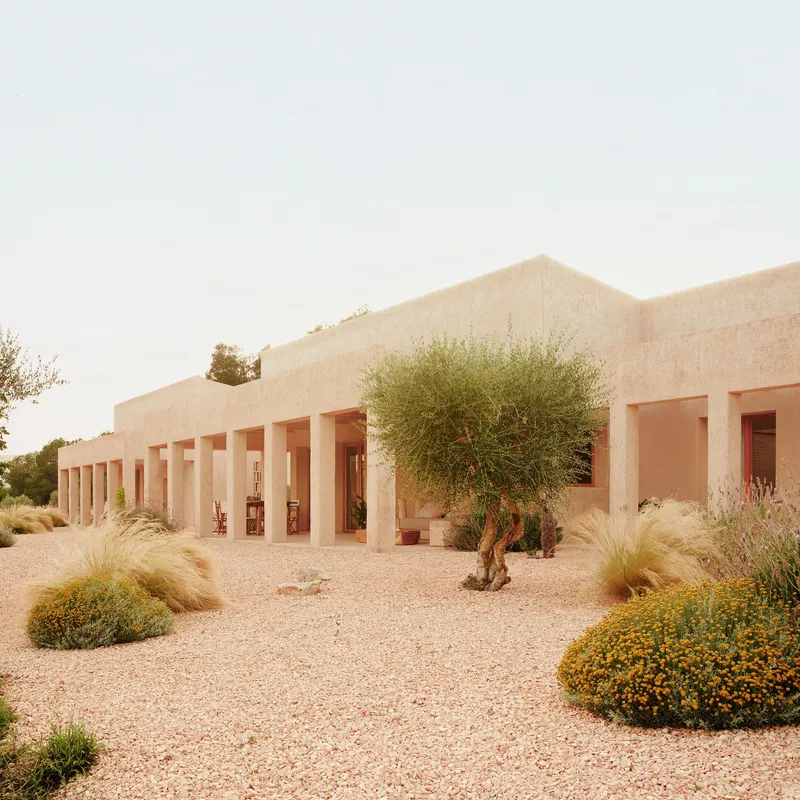 Stepped aggregate facades flanking gravel landscape with olive tree and drought-tolerant shrubs