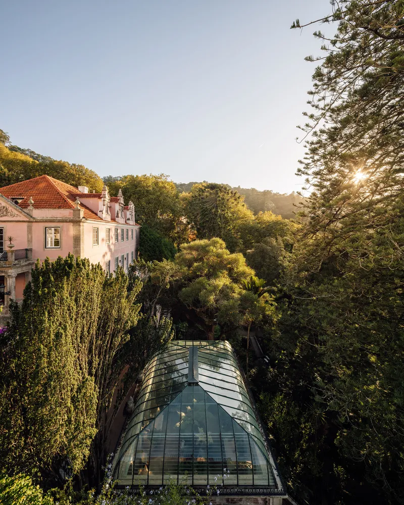 Aerial view of the barrel-vaulted glass pavilion nestled among tall trees at golden hour
