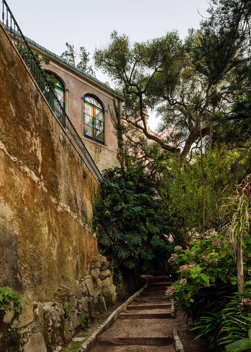Stone stairway ascending along weathered stucco wall with arched windows and surrounding dense foliage