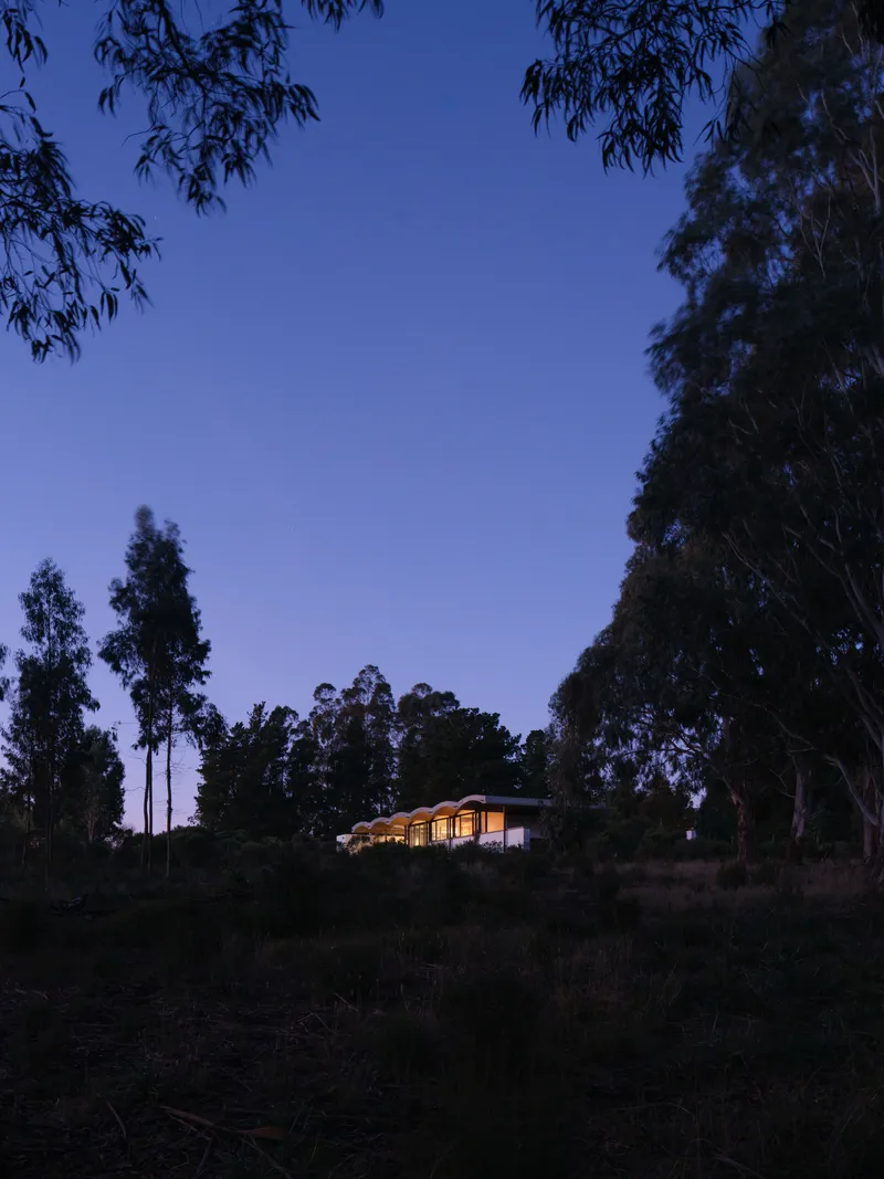 Night view of the illuminated residence framed by eucalyptus branches and dark sky