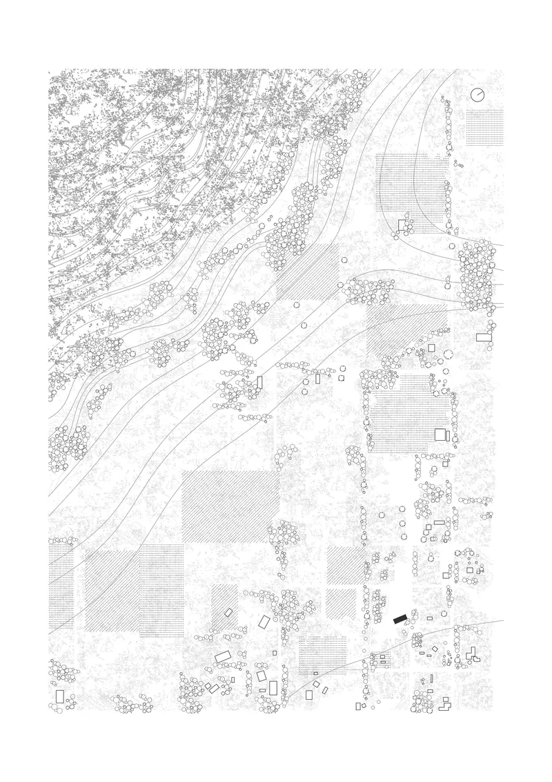 Site plan drawing showing buildings scattered among dense tree clusters and curving pathways