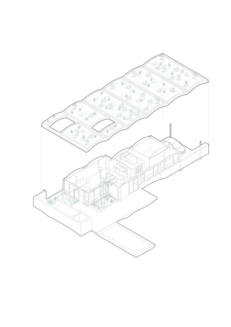 Axonometric drawing showing the undulating planted roof hovering above the interior layout