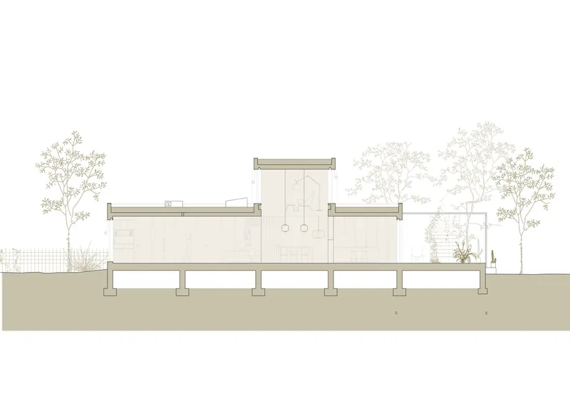 Section drawing illustrating the elevated volumes on columns with trees and ground plane below