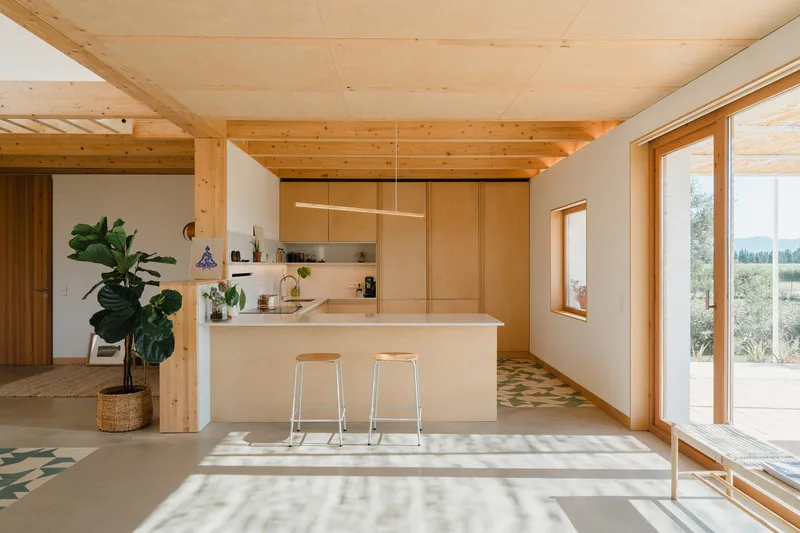 Kitchen island with timber cabinetry beneath plywood ceiling and exposed joists