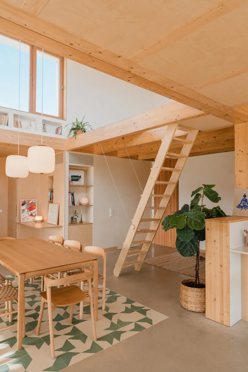 Timber ladder stair connecting to mezzanine level with white walls and plywood ceiling