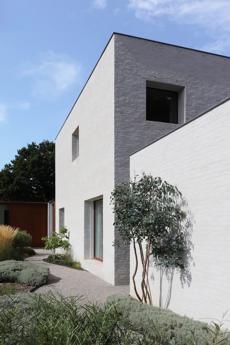 Entry courtyard with white and grey brick volumes and a multi-stemmed tree