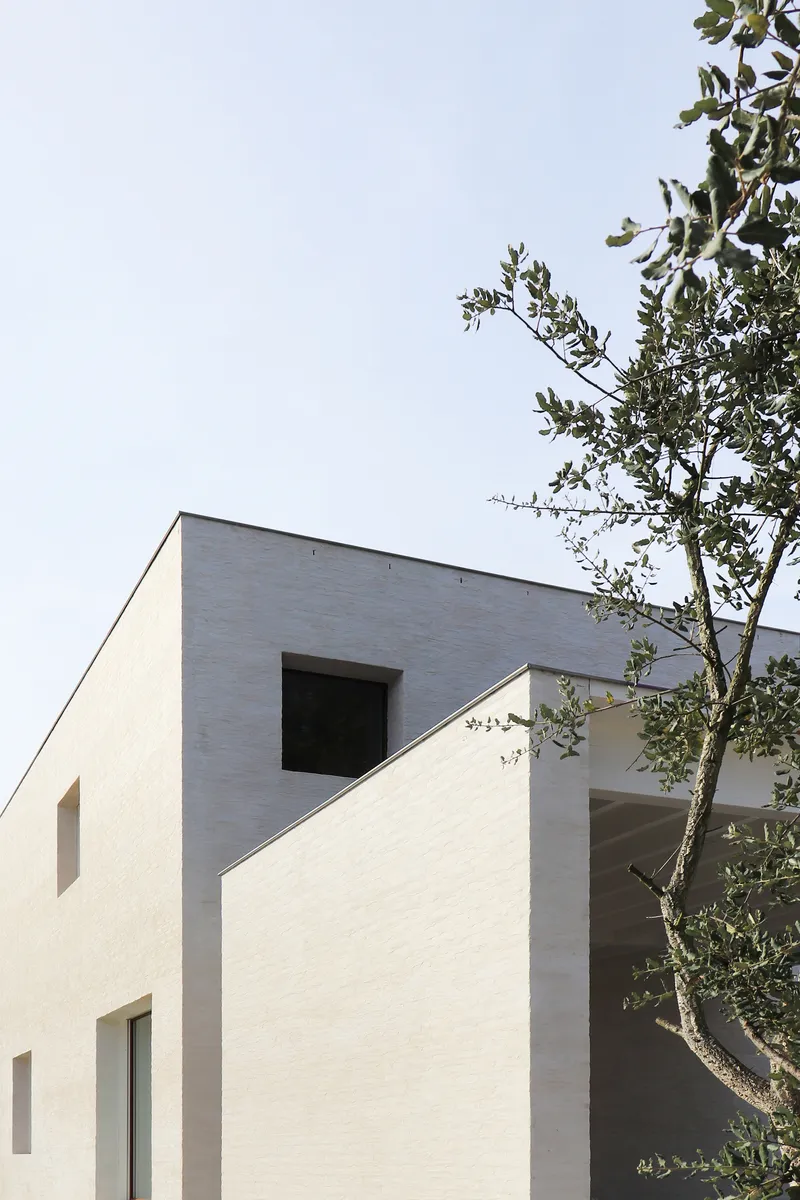 Stacked white plaster volumes with punched window openings beside an olive tree