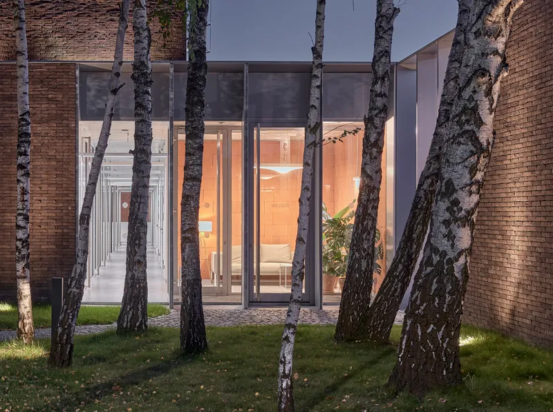 Glass corridor entrance framed by birch tree trunks with upward lighting on the lawn