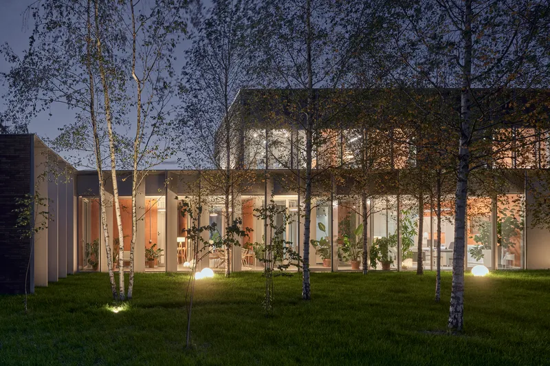 Glazed perimeter with interior lighting and potted plants visible through birch grove at night