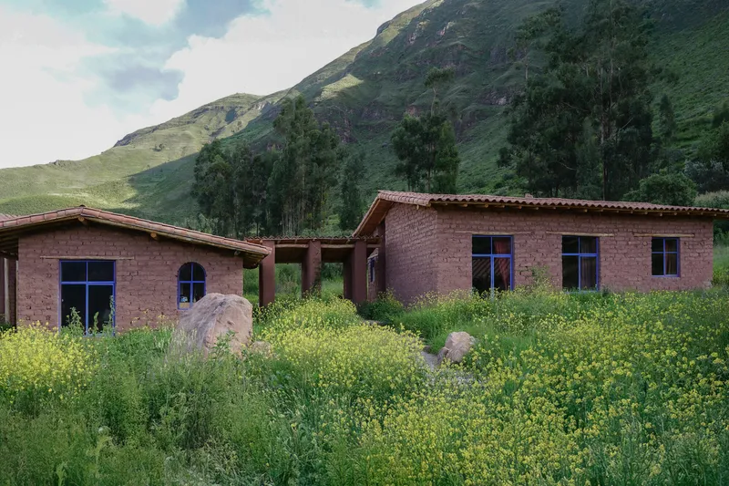 Adobe buildings with blue-framed windows rising from a field of yellow wildflowers