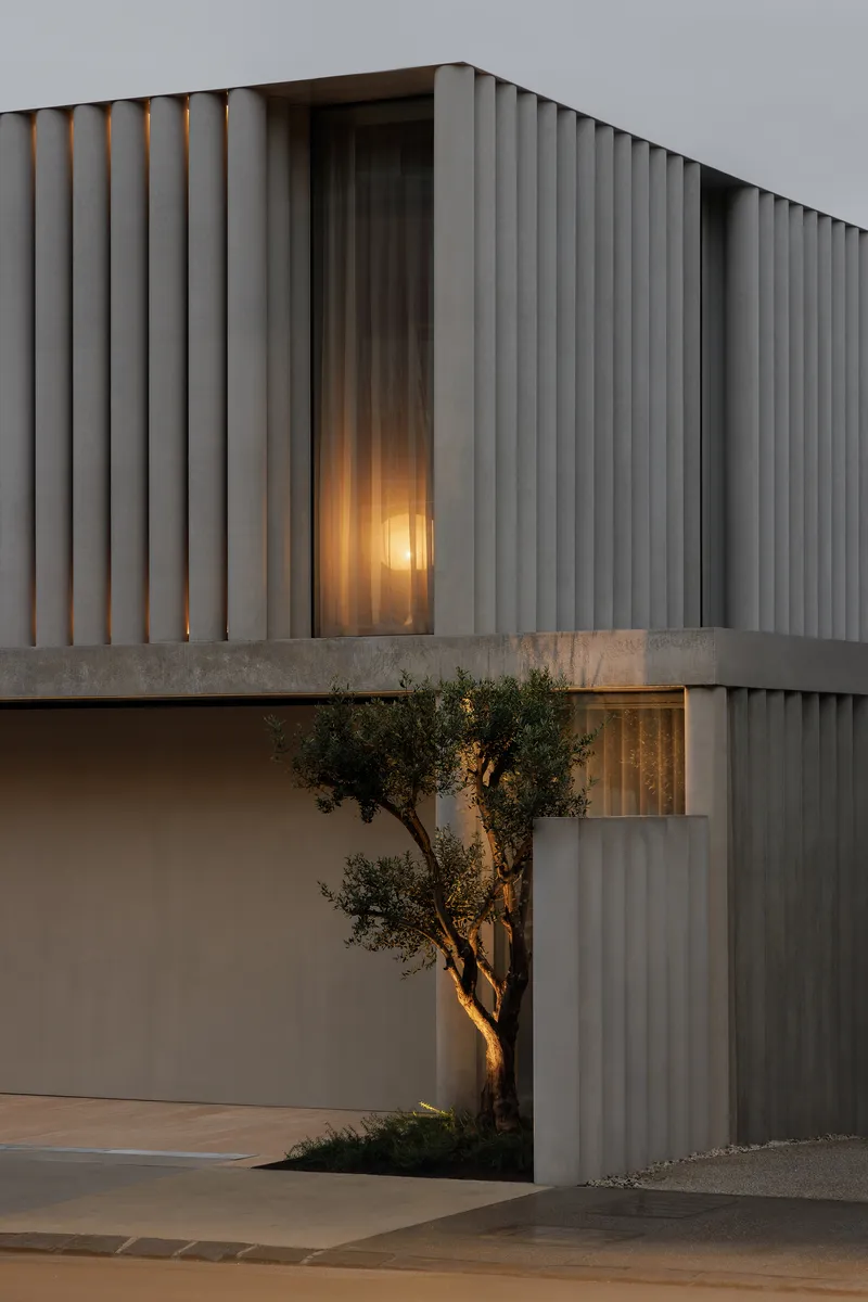 Upper floor facade with vertical concrete fins and illuminated window behind an olive tree