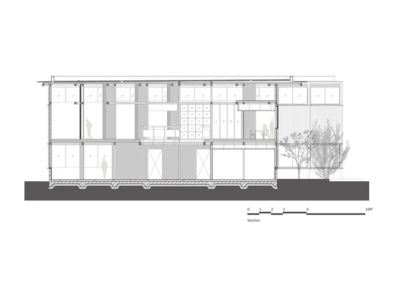 Section drawing revealing double-height interior spaces with clerestory windows and an adjacent tree