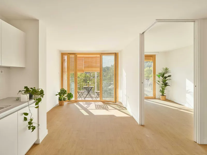 Interior room with timber framed windows casting bright sunlight across cork flooring and potted plants