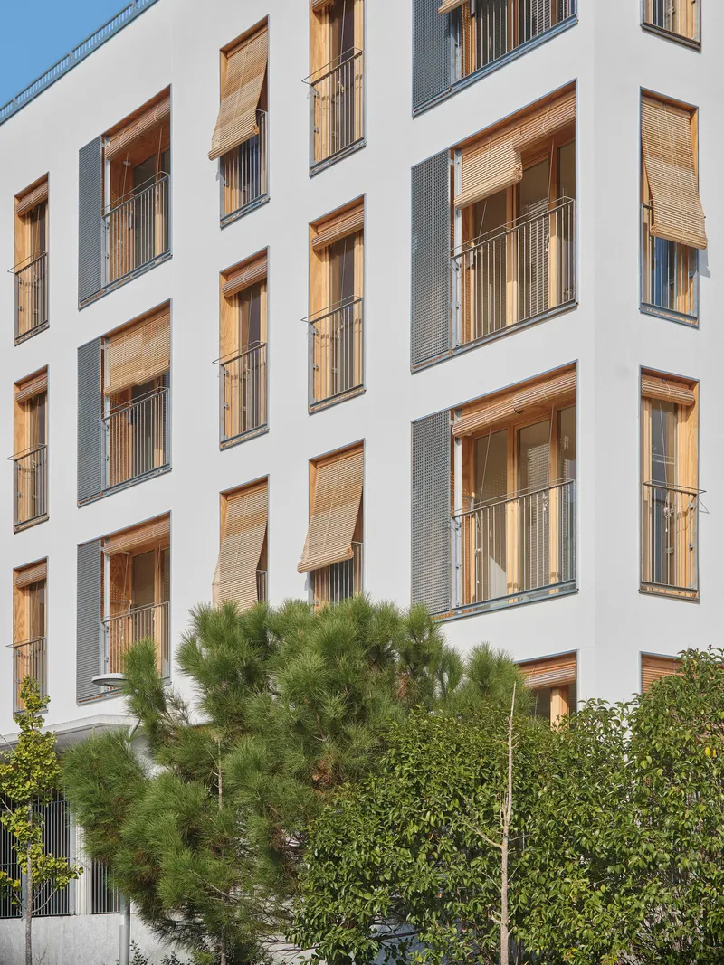 Corner facade showing recessed balconies with timber louvres and mesh screens beside young pine trees