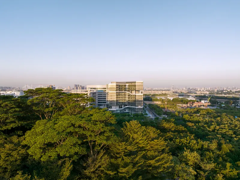 Aerial view of the low-rise glass building emerging from a dense canopy of trees at sunrise