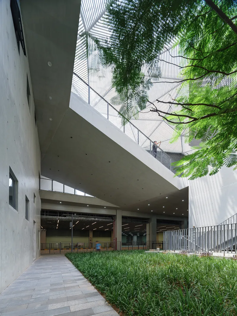 Concrete overhang sheltering an interior space overlooking a courtyard planted with grasses and tree canopy overhead