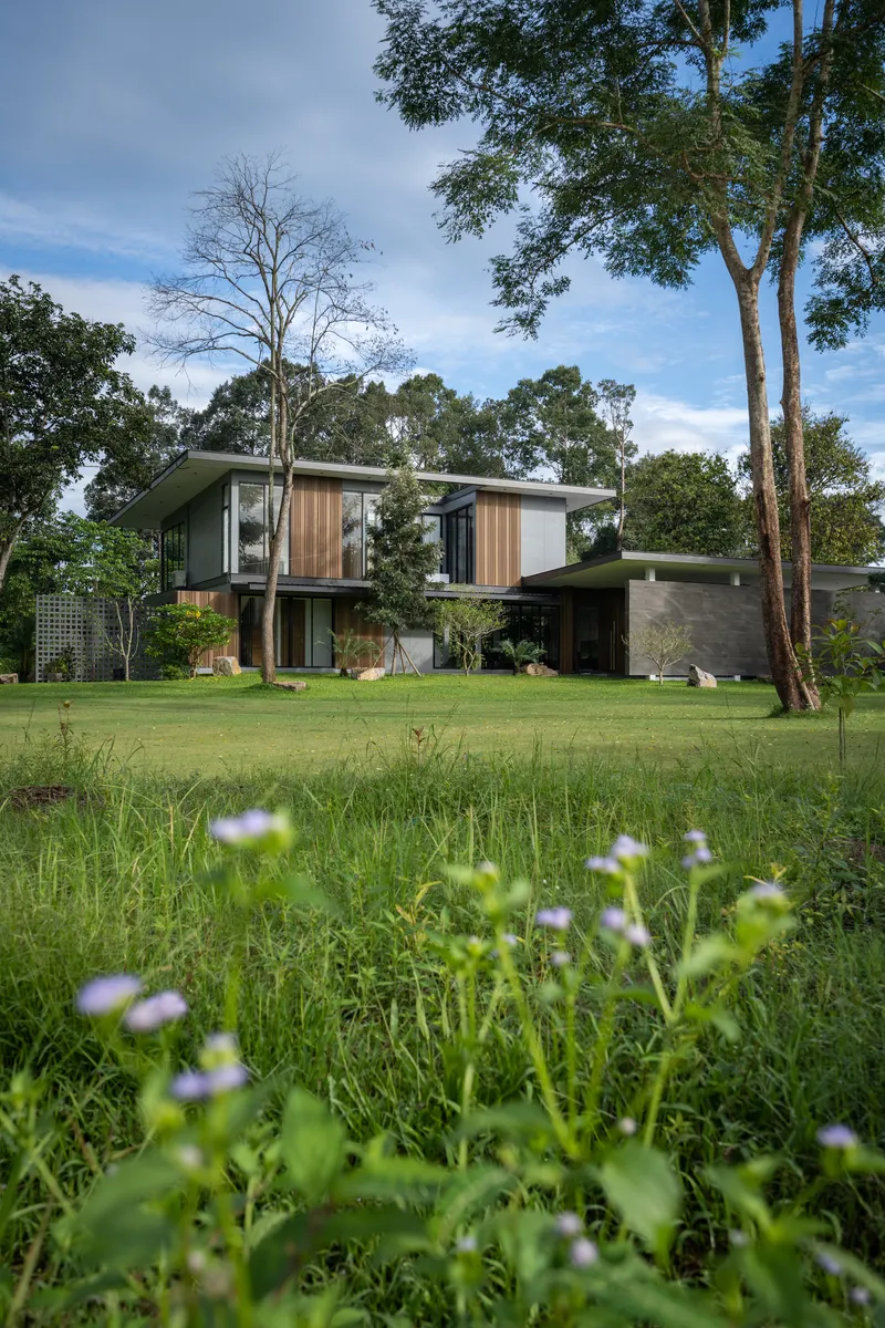 Garden elevation showing flat roof volumes and timber cladding framed by tall trees and wildflowers