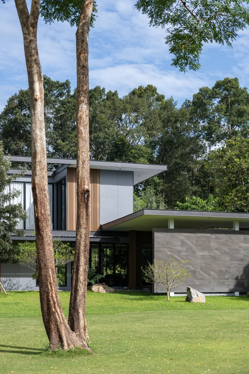 Two-story volume with vertical timber slats and cantilevered roof seen between mature tree trunks