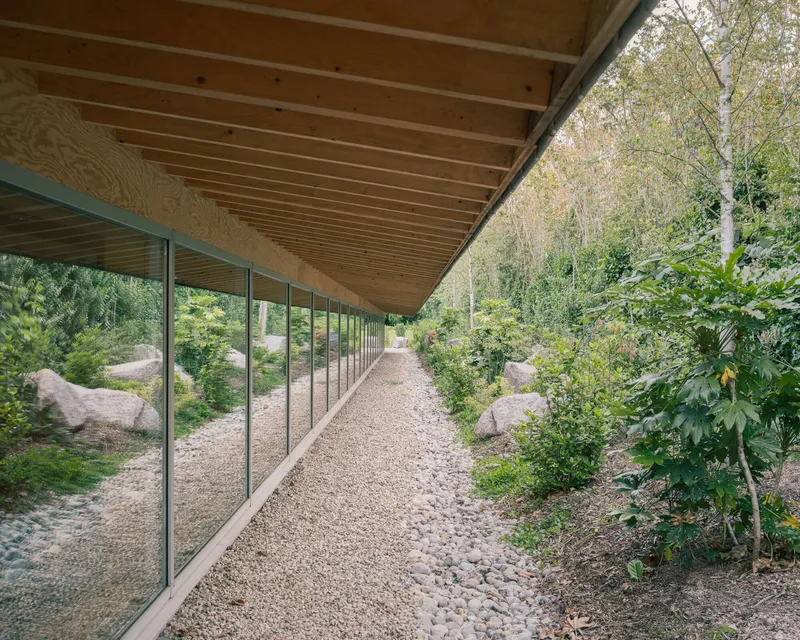 Covered walkway with angled timber ceiling and glazed wall running alongside a gravel path through planted beds