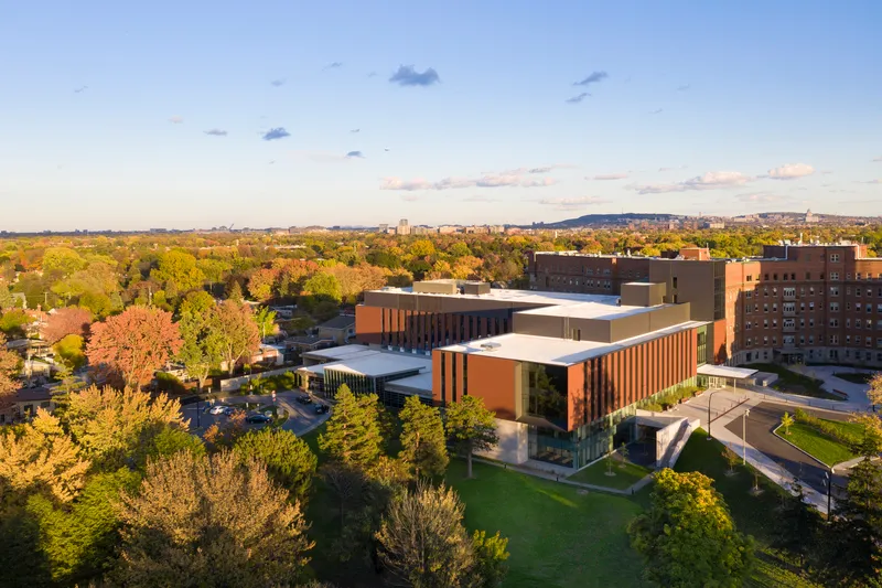 Aerial view of the complex showing multiple volumes with white roofs among autumn tree canopy