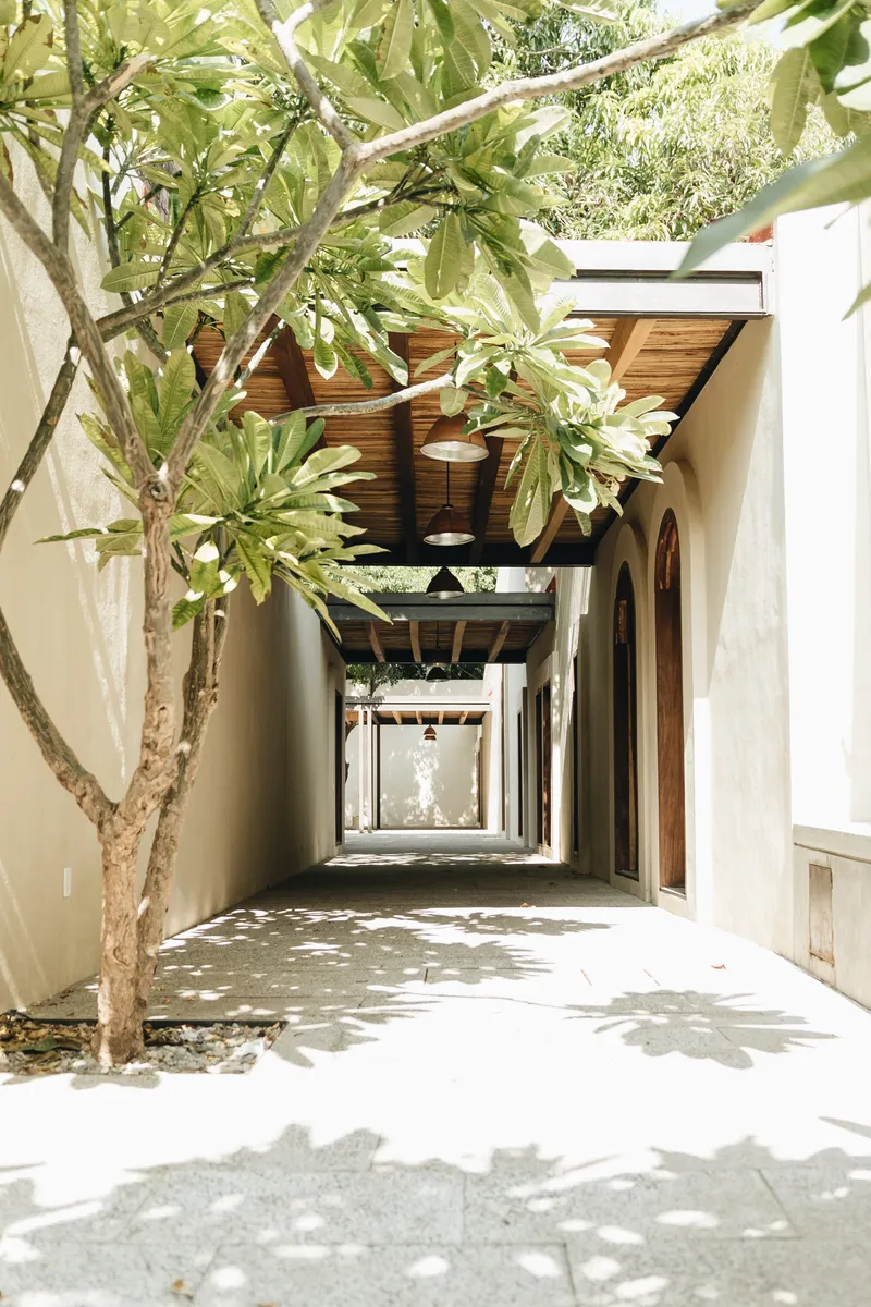 Narrow exterior passage between white walls with timber soffits and planted frangipani casting shadows on paving