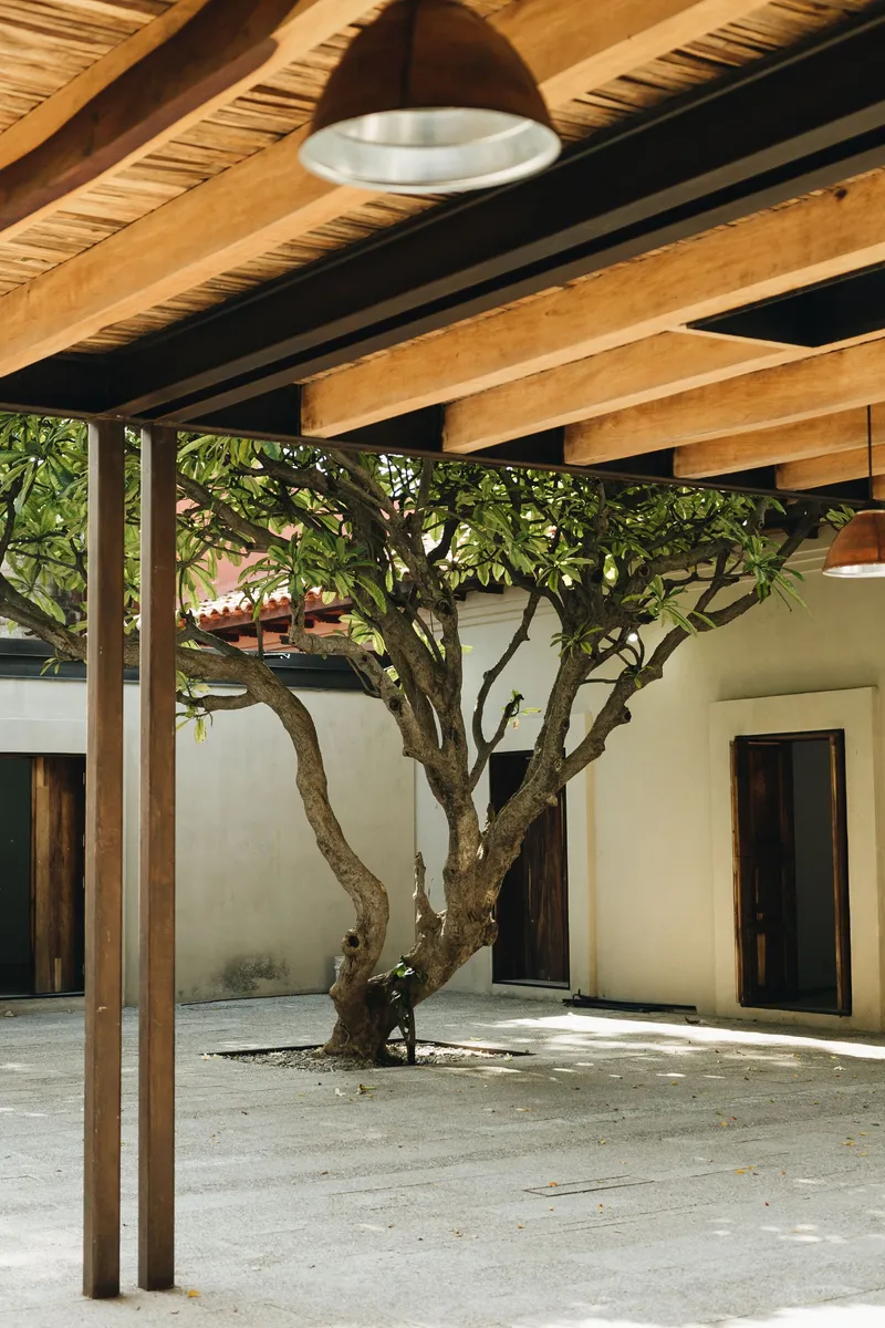 Covered courtyard with exposed timber beams and a bare tree growing through the gravel floor