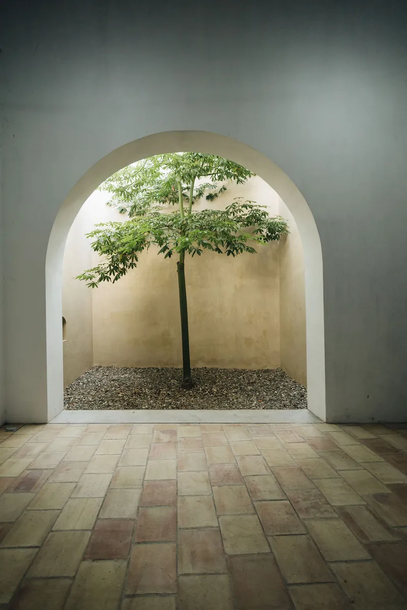 Arched opening framing a small tree in gravel within a white plastered courtyard alcove