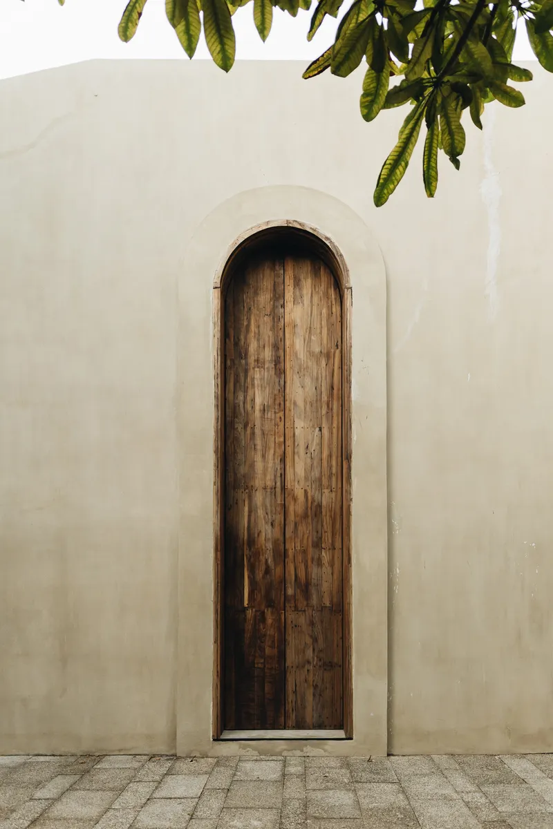 Arched timber door set into a plastered wall beneath overhanging foliage