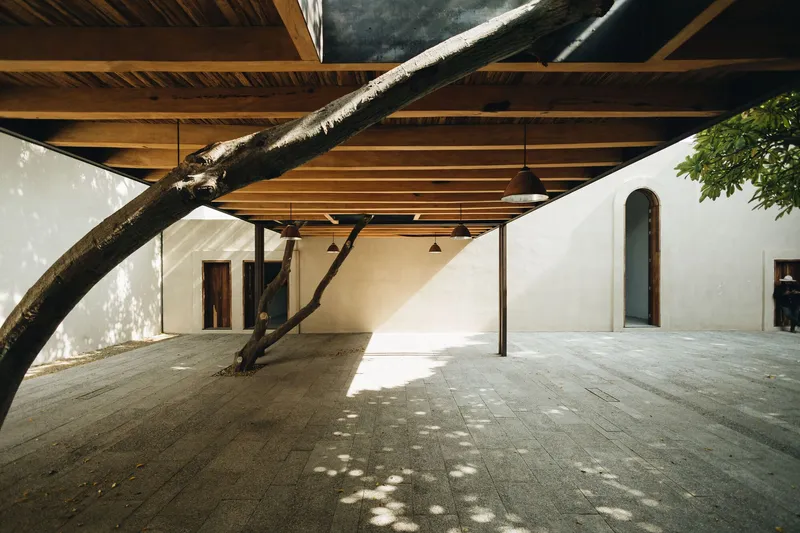Covered courtyard with exposed timber ceiling beams and a preserved tree trunk under dappled sunlight