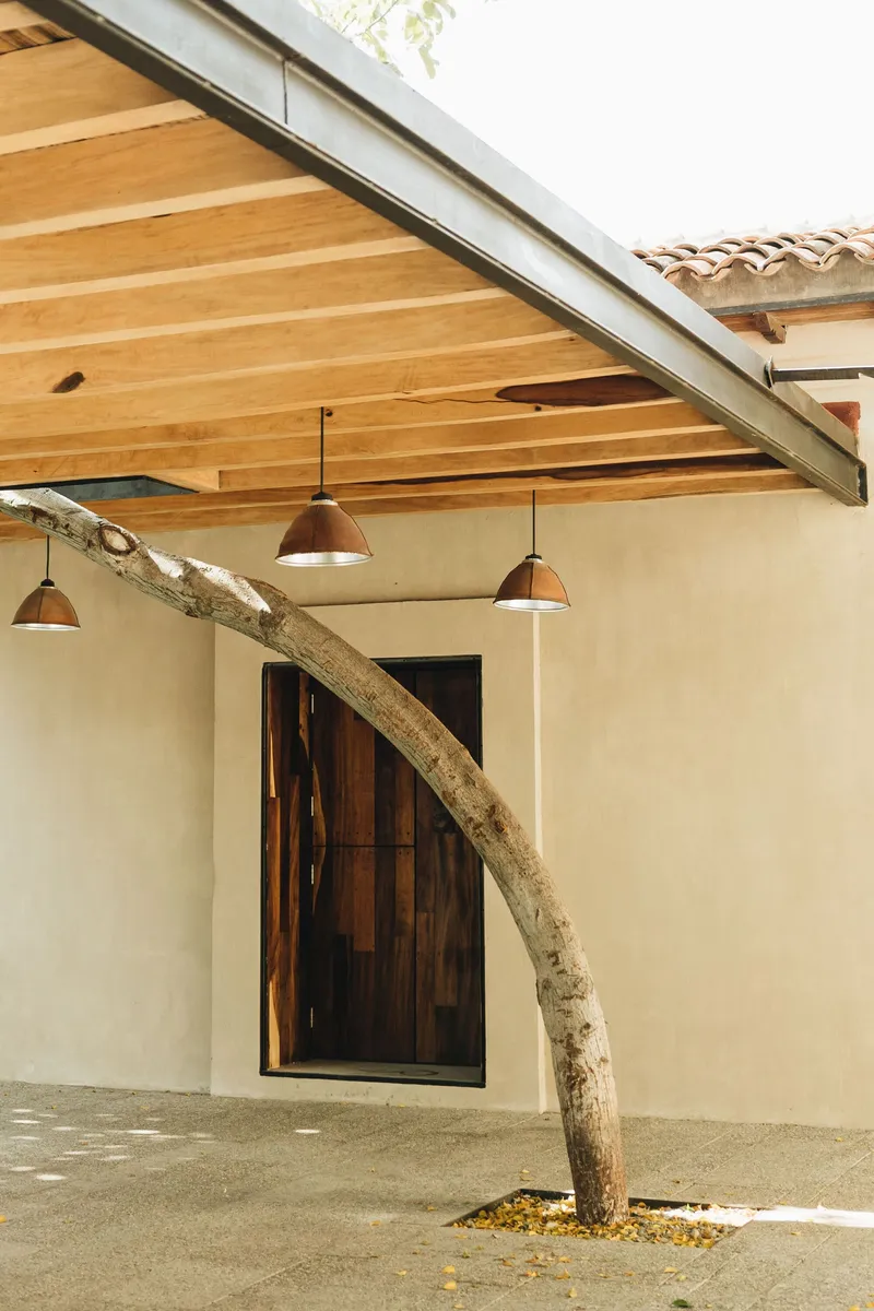 Covered passage with angled timber ceiling and leaning tree trunk in dappled sunlight
