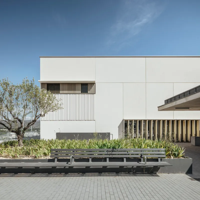 White facade with vertical slat screens, raised planters with grasses, concrete benches, and olive tree
