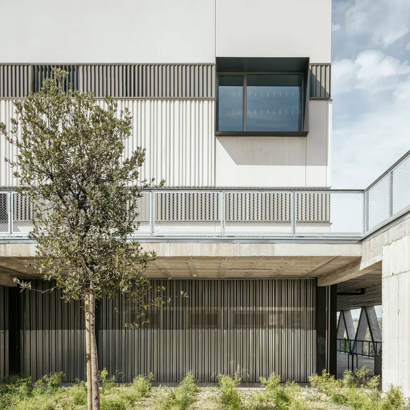 Vertically corrugated metal facade with planted olive tree and landscaped beds beneath concrete terrace