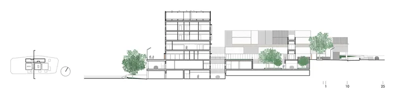 Section drawing revealing a multi-story tower volume alongside lower horizontal masses with rooftop plantings