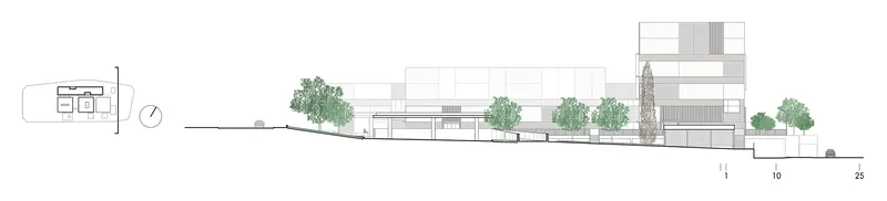 Section drawing showing horizontal building volumes with planted terraces and trees distributed across the composition