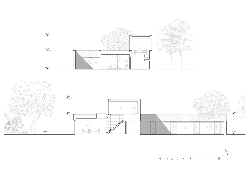 Section drawing showing split-level volumes with staircase and surrounding tree canopies