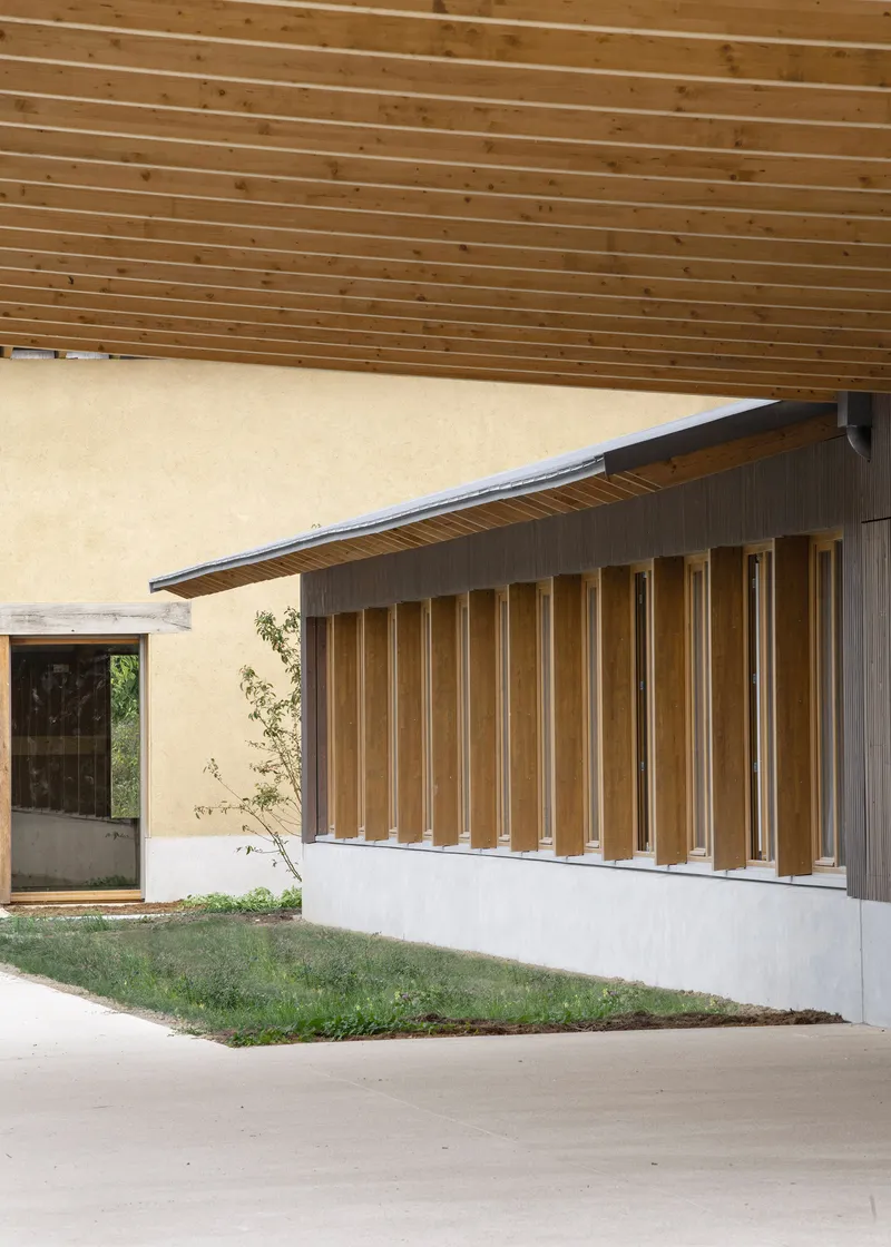 Facade with rhythmic vertical timber fins above white plaster base and planted sapling under timber overhang