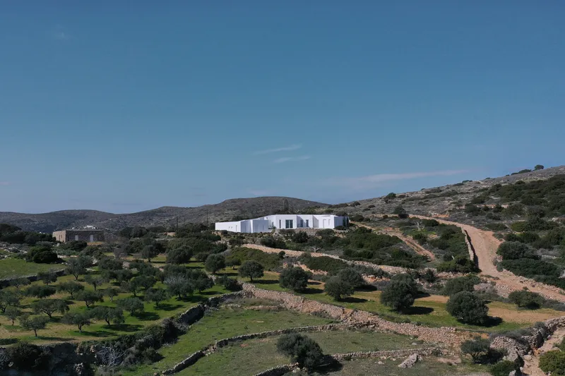 Distant view of the white building complex atop terraced hillside with olive trees and stone walls