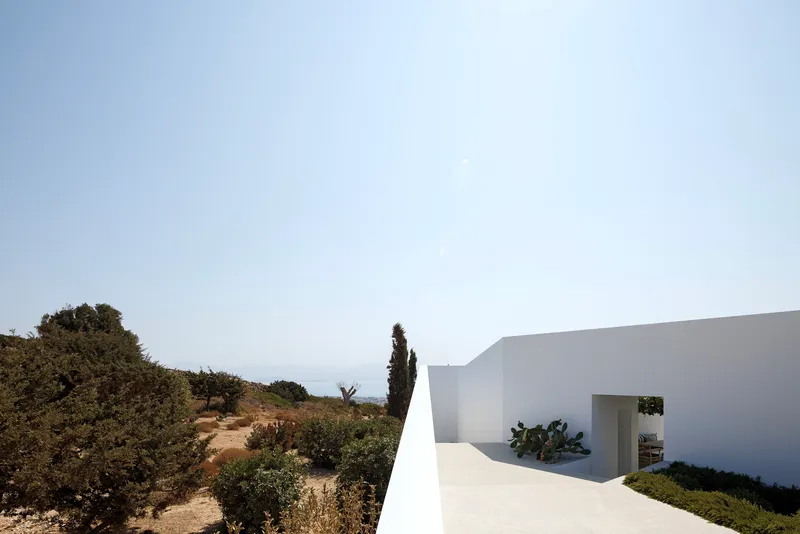 White rooftop terrace extending toward the sea with planted cactus and distant horizon