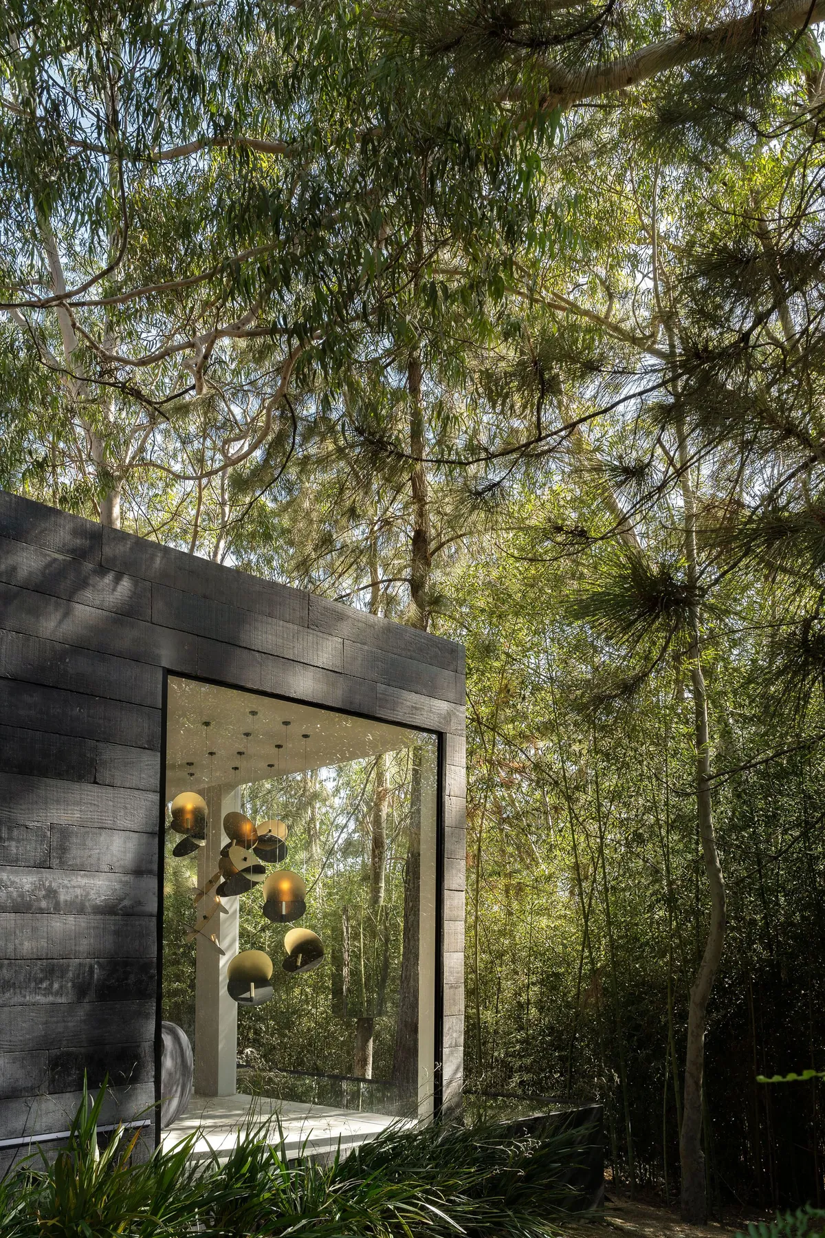 Natan Gil Arquitetura Builds a Charred Timber Hotel Room as a Desert Oasis in Belo Horizonte's Forest