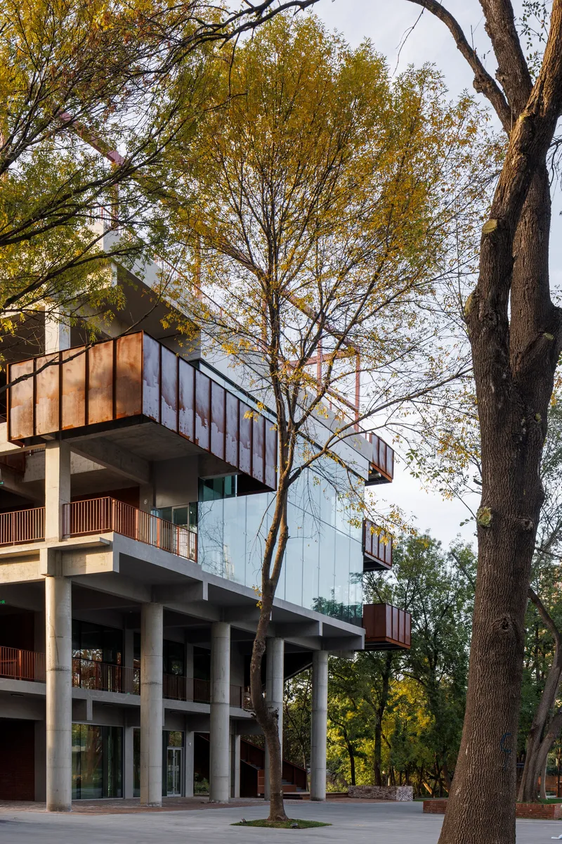 Ground level pilotis with concrete columns supporting cantilevered balconies with metal and timber railings among autumn foliage