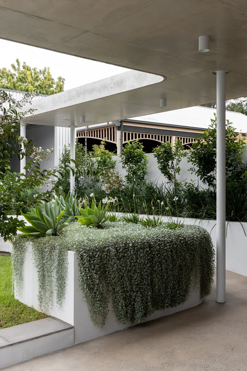 Curved concrete canopy over planted beds with cascading greenery and white cylindrical columns