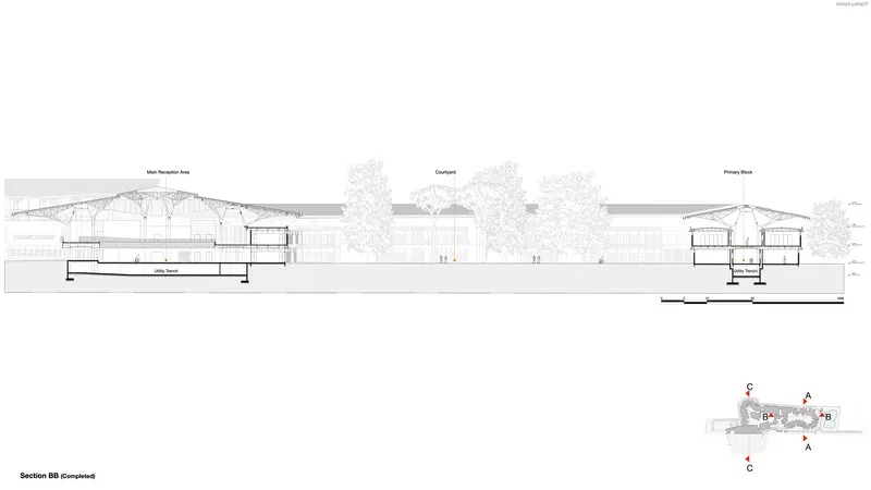 Building section drawing showing the relationship between blocks with trees in the courtyard
