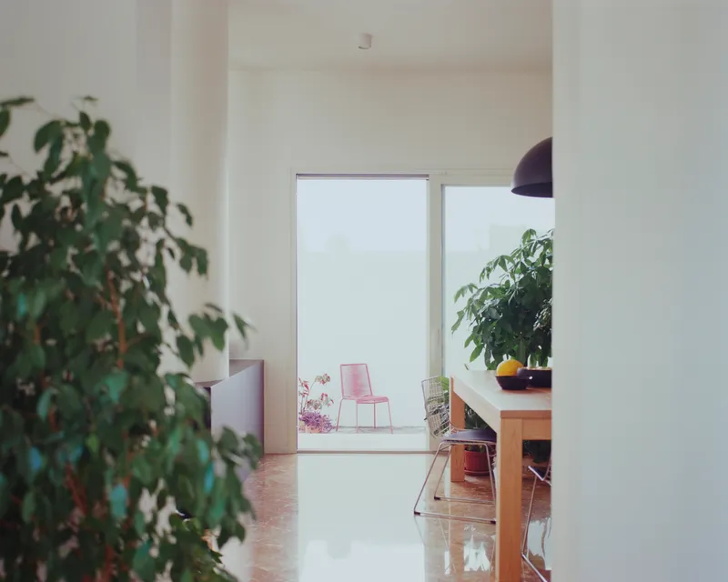 Interior hallway view through open doorway to sunlit patio with potted plants and pendant lamp