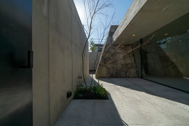 Narrow exterior passage between board-formed concrete walls and stone outcrop with a young birch tree