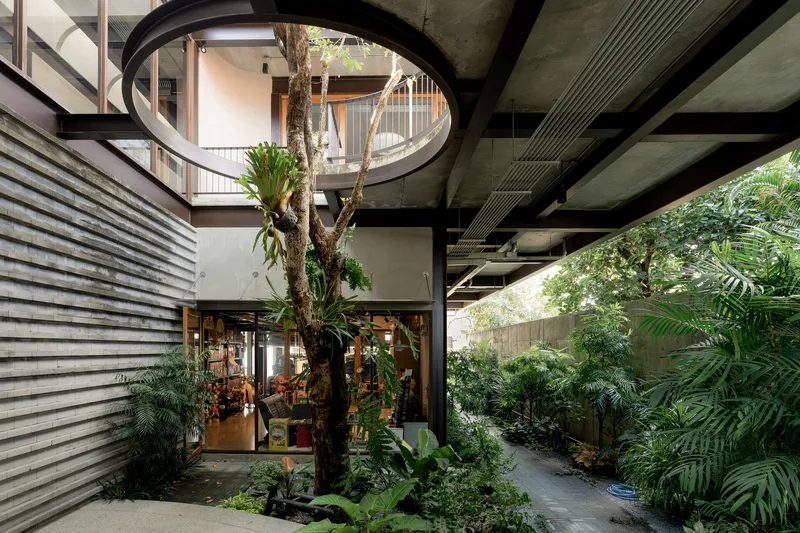 Interior courtyard with preserved tree trunk surrounded by ferns and tropical plantings