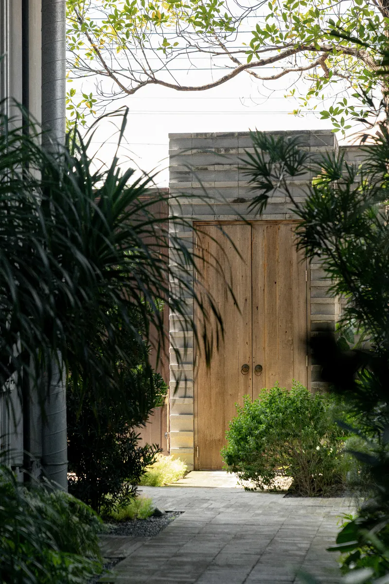 Timber entry door set within paved garden path framed by overhanging tree branches and planted grasses