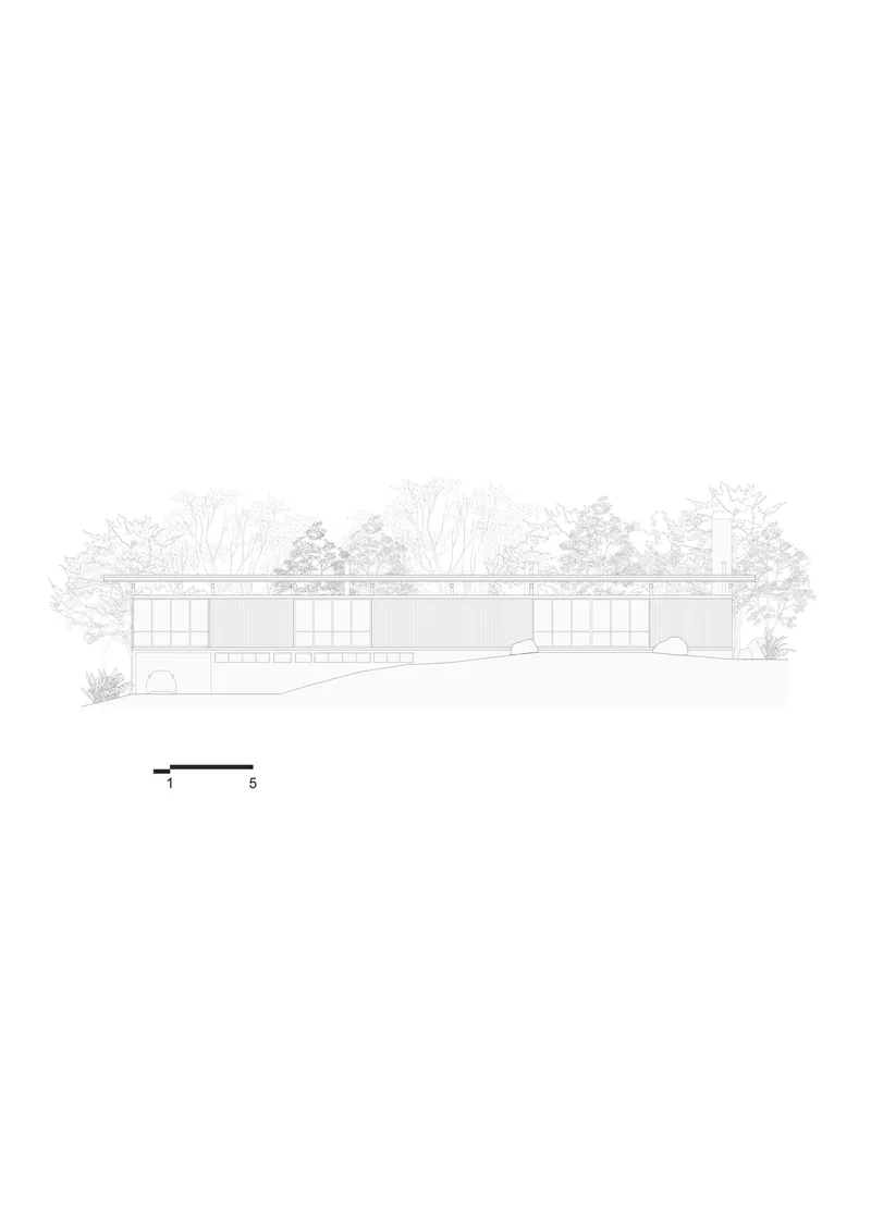 Elevation drawing showing horizontal volume with regular window openings set against tree canopy