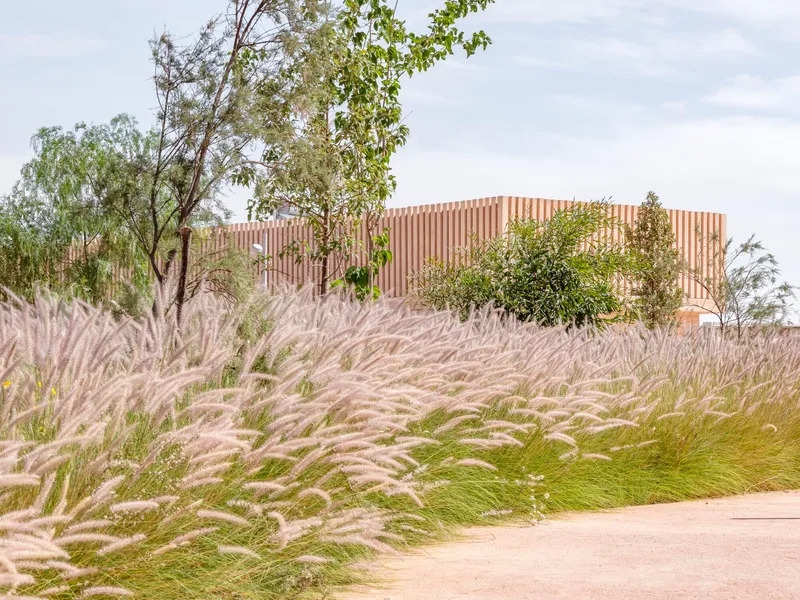 Curved timber slat screen rising above sloping hillside planted with swaying ornamental grasses