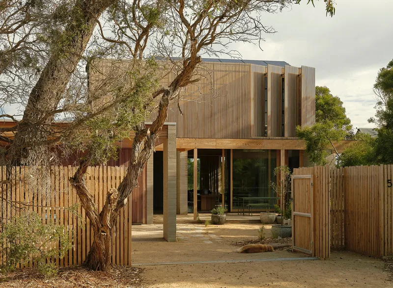 Timber-clad volume with vertical battens and covered entry courtyard framed by a mature eucalyptus tree