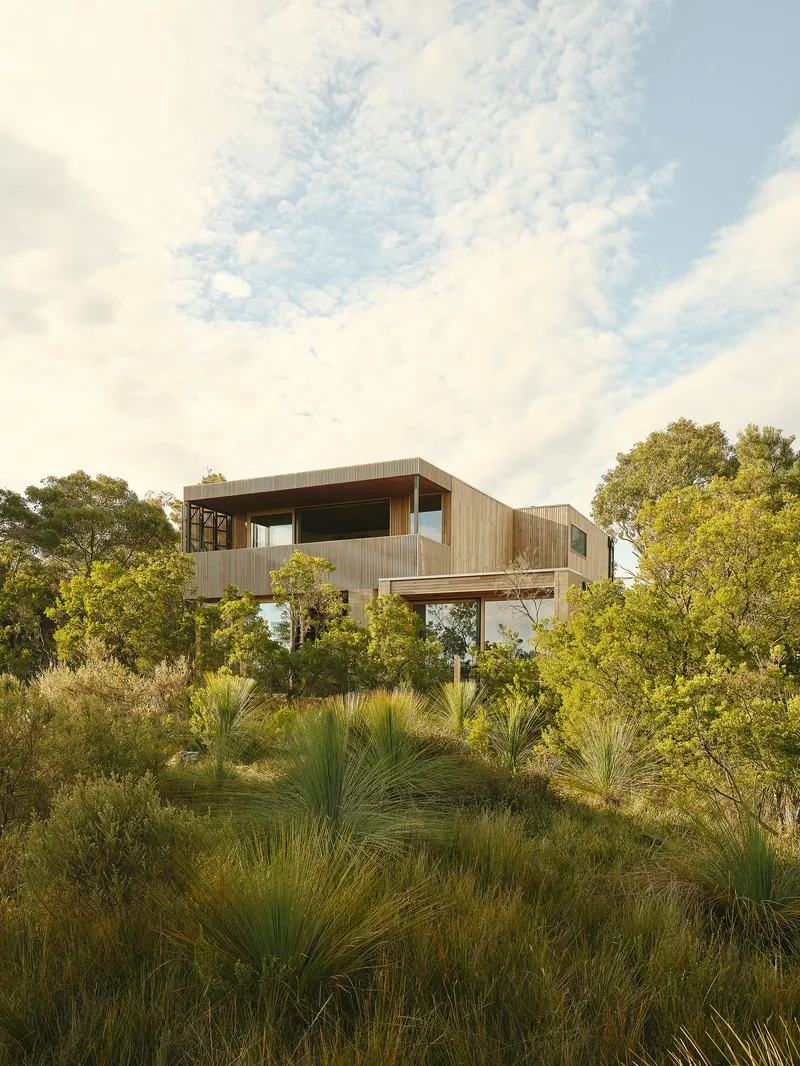 Elevated timber residence on steel columns rising above native grasses and coastal scrub vegetation